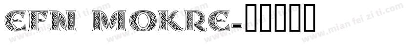 EFN Mokre字体转换